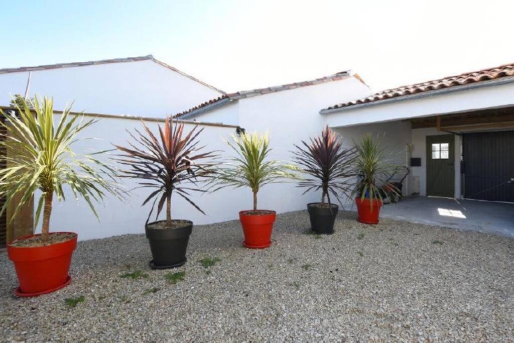 L'Oiseliere ------- Nul Part Ailleurs Villa Loix ภายนอก รูปภาพ
